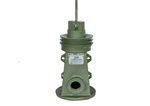 Helical Rotor Borehole Pump Light Duty